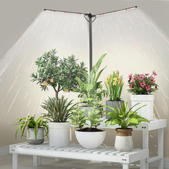 bodkar Plant Grow Light front view with 2 heads