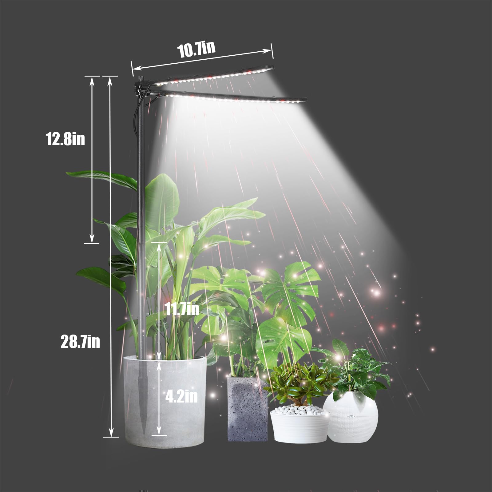 bodkar Plant Grow Light in a dark corner supporting plant growth