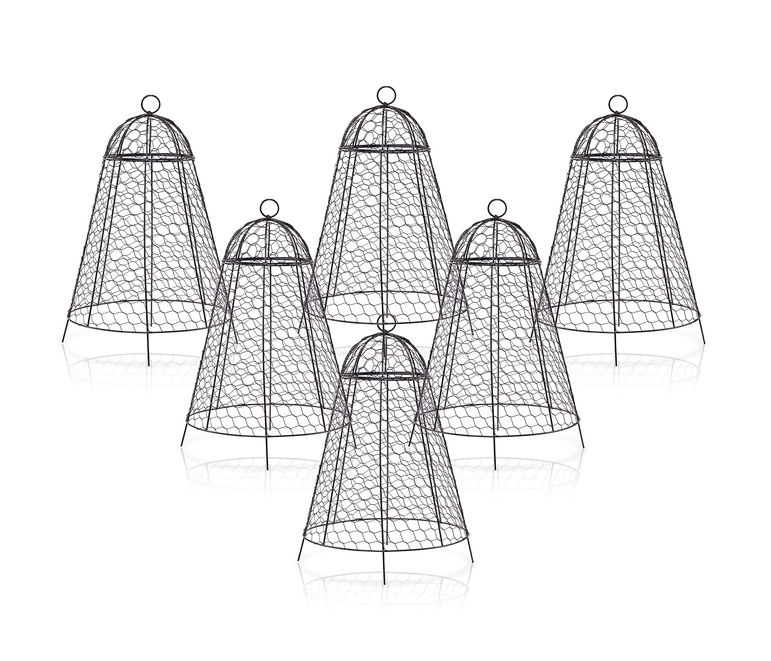 boldworks Garden Cloches black steel cloche front view