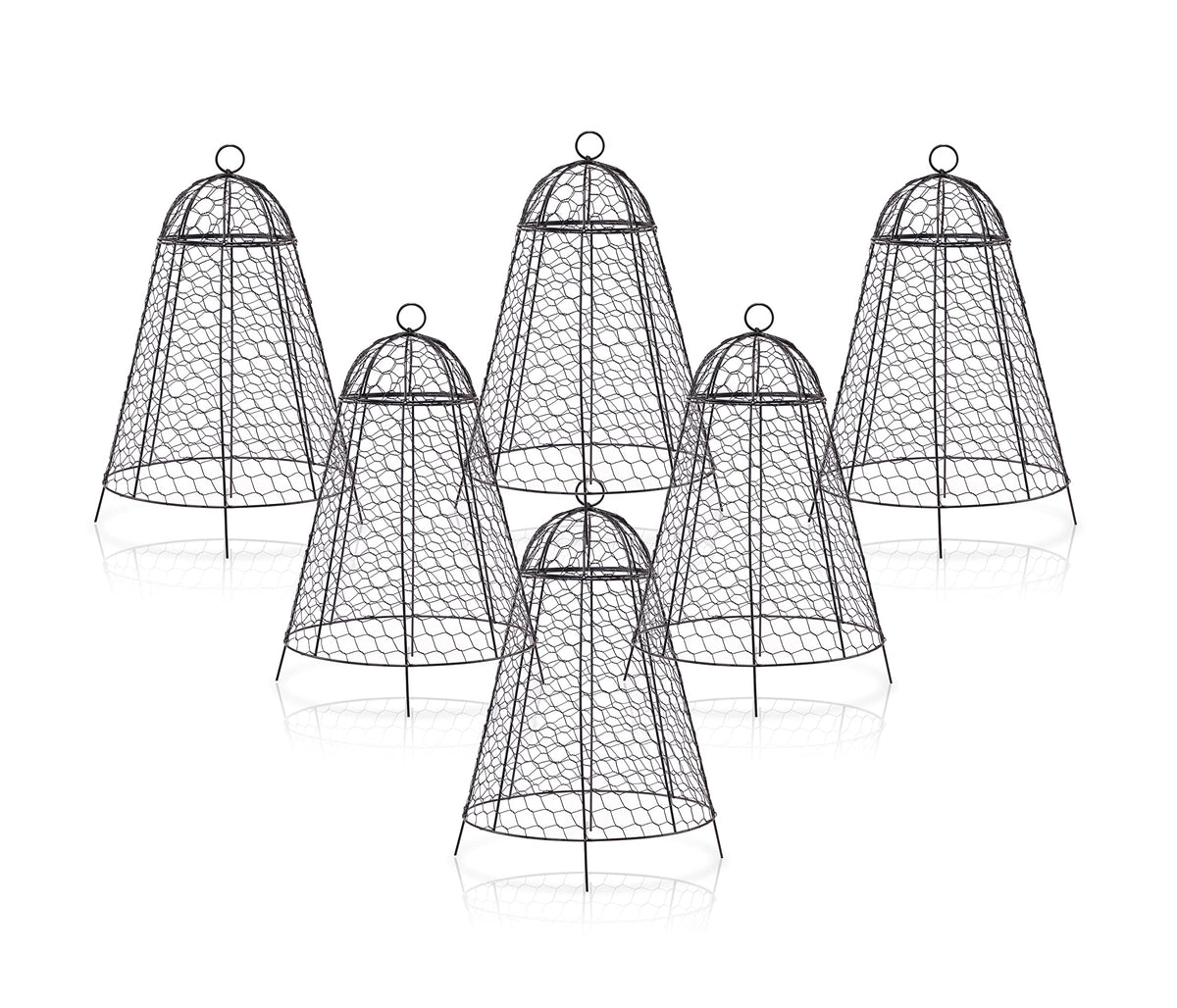 boldworks Garden Cloches black steel cloche front view