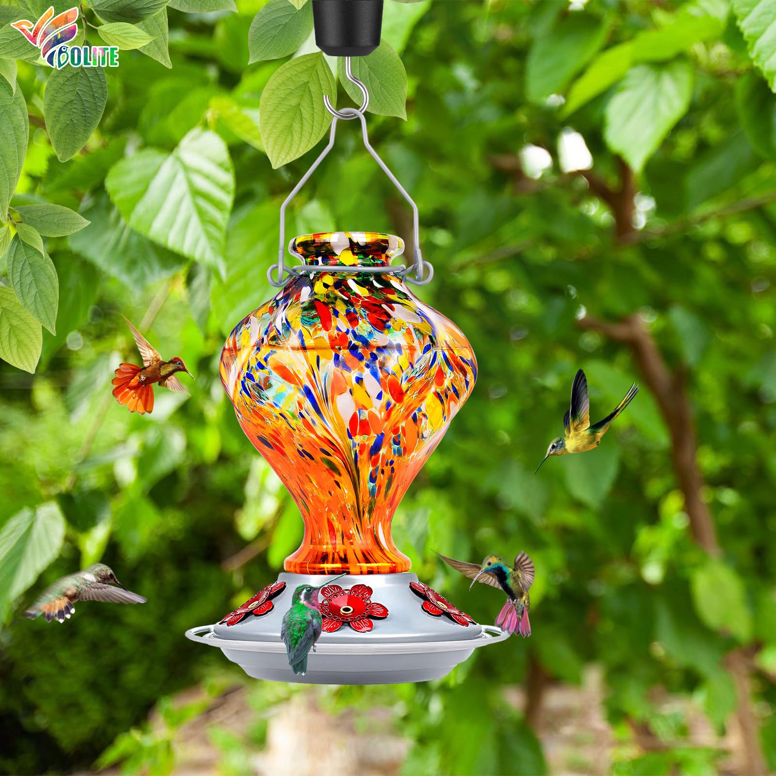 BOLITE hummingbird feeder in garden setting attracting birds