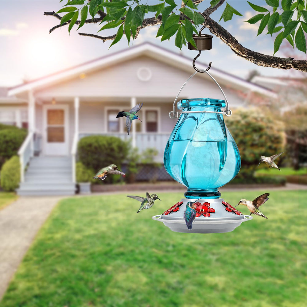 BOLITE Hummingbird Feeder with ant moat hook