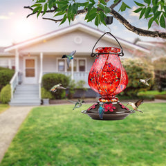BOLITE hummingbird feeder with hook attached