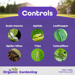 Bonide All Seasons Horticultural & Dormant Spray Oil 16 oz label close-up
