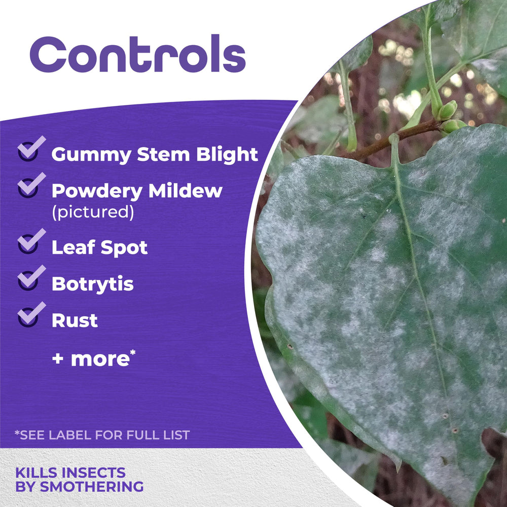 Bonide All Seasons Horticultural & Dormant Spray Oil being applied to plants