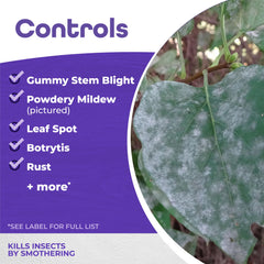 Bonide All Seasons Horticultural & Dormant Spray Oil being applied to plants