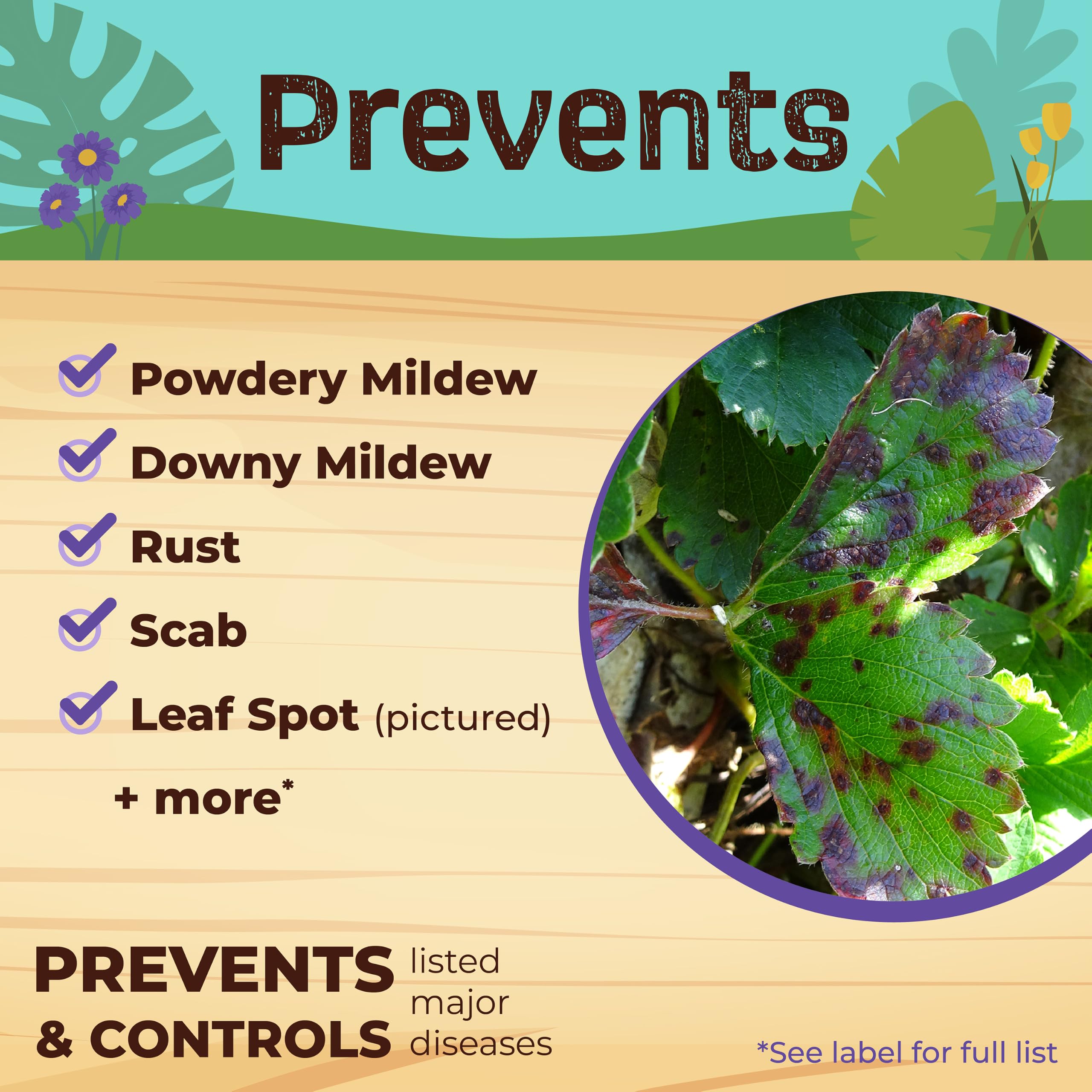 Bonide Captain Jack's Neem Max spray in garden application