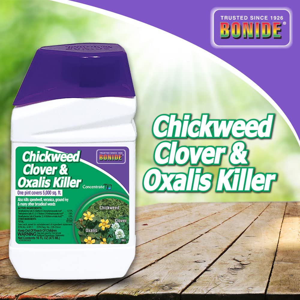 Bonide concentrate in a garden setting
