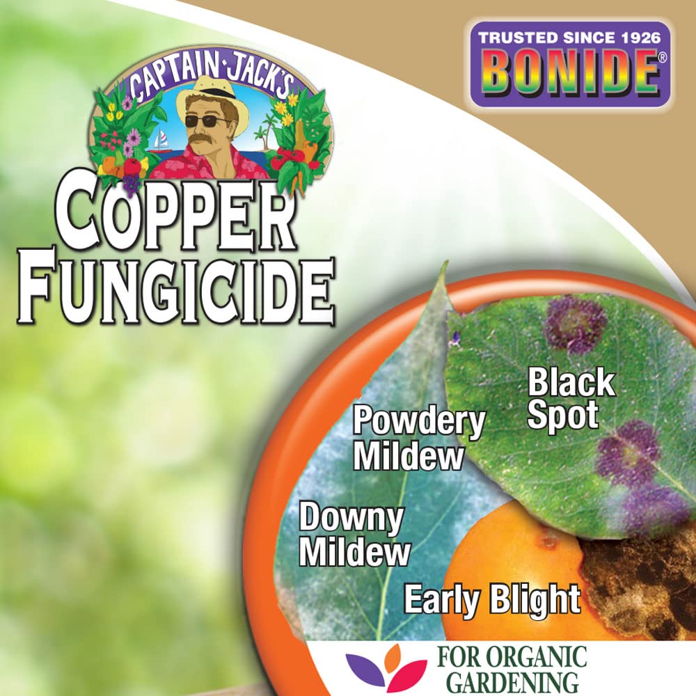 Bonide Copper Fungicide spray applied to affected plants