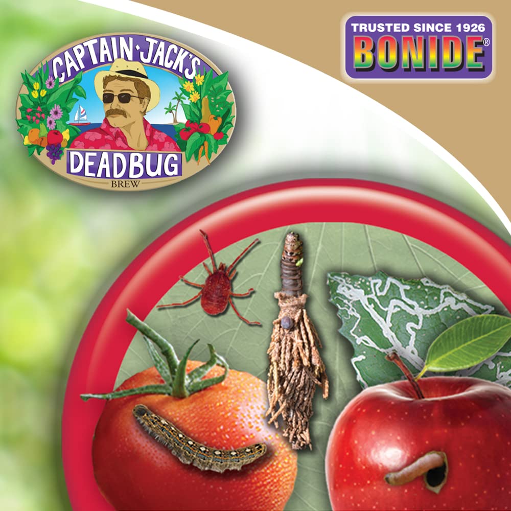 Bonide Deadbug Brew ready-to-use spray outdoors