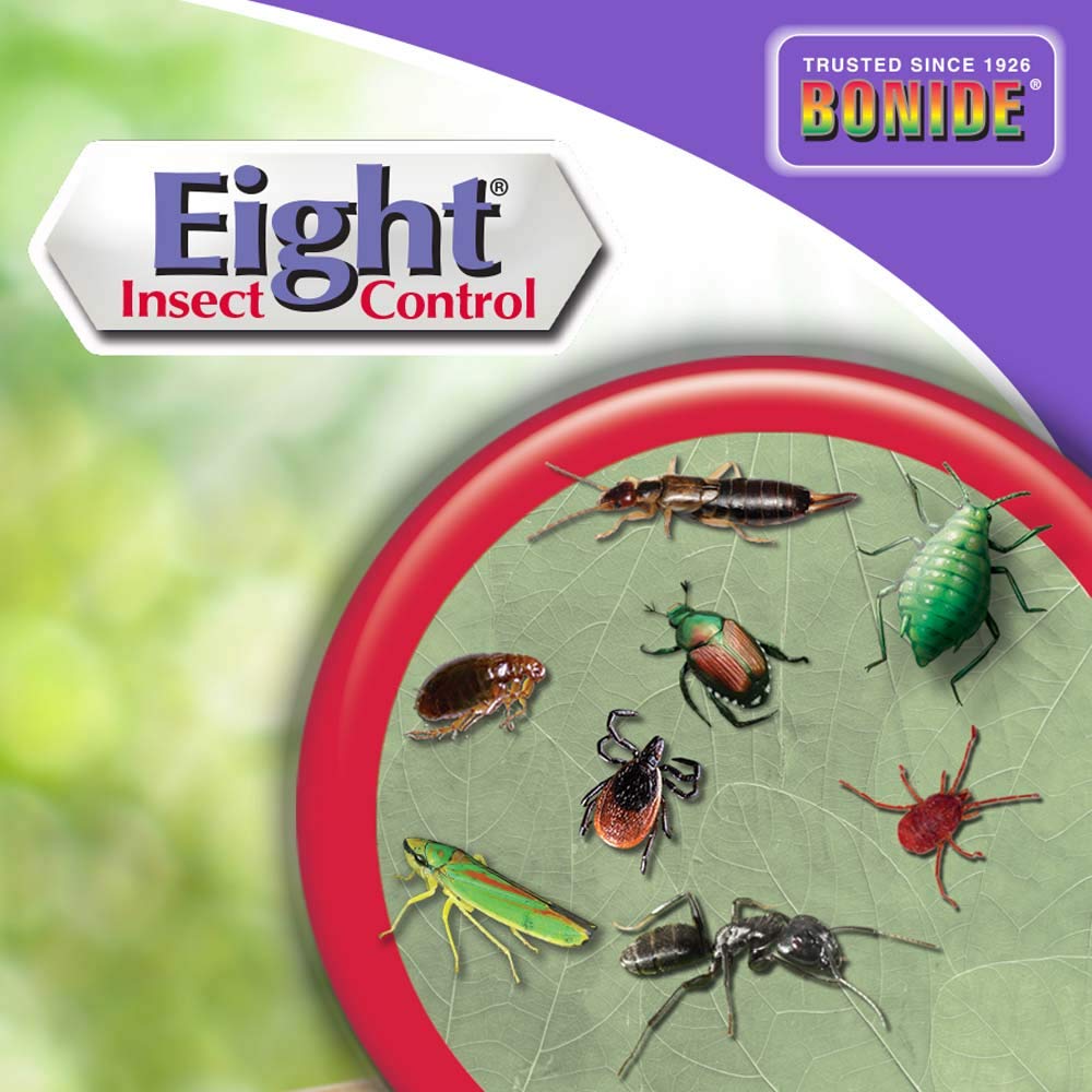 Bonide Eight Insect Control spray nozzle close-up