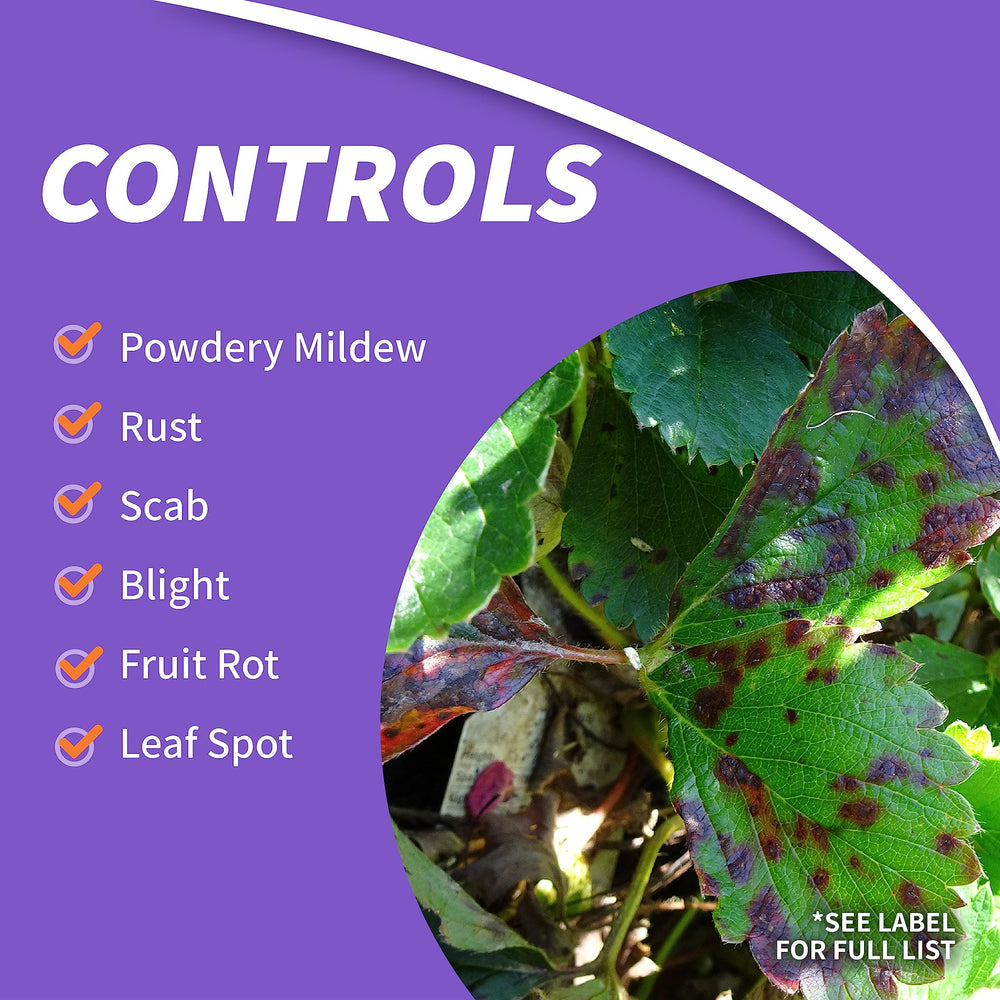 Bonide Fruit Tree & Plant Guard being applied to a tree
