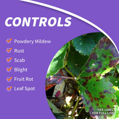 Bonide Fruit Tree & Plant Guard being applied to a tree