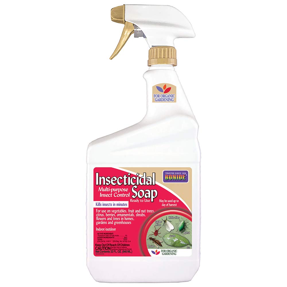 Bonide Insecticidal Soap 32 oz spray bottle front view
