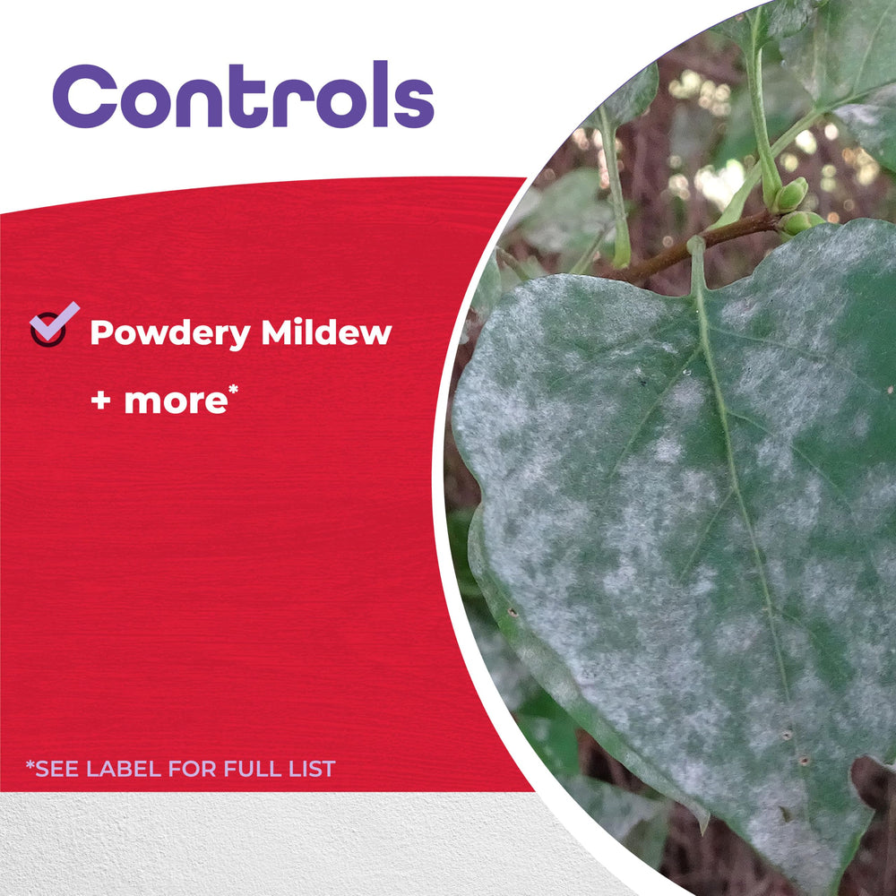 Bonide Insecticidal Soap in a garden setting