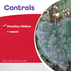 Bonide Insecticidal Soap in a garden setting