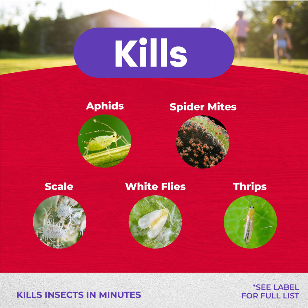 Bonide Insecticidal Soap label showing ingredients