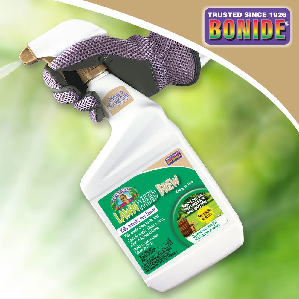 Bonide Lawnweed Brew ready-to-use spray on grass