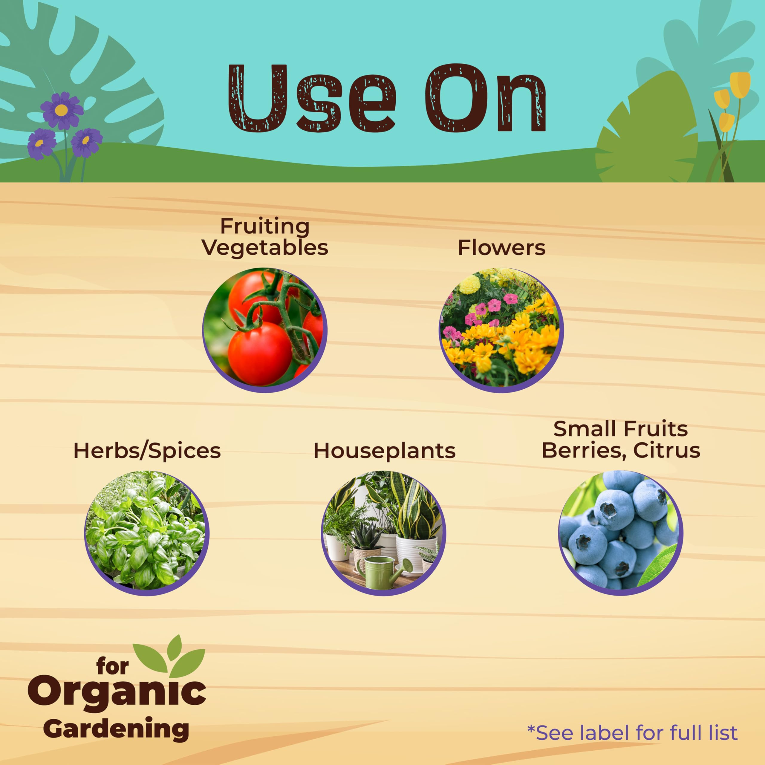 Bonide Neem Max spray used on houseplants in a home setting