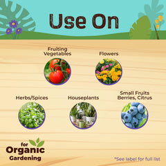 Bonide Neem Max spray used on houseplants in a home setting