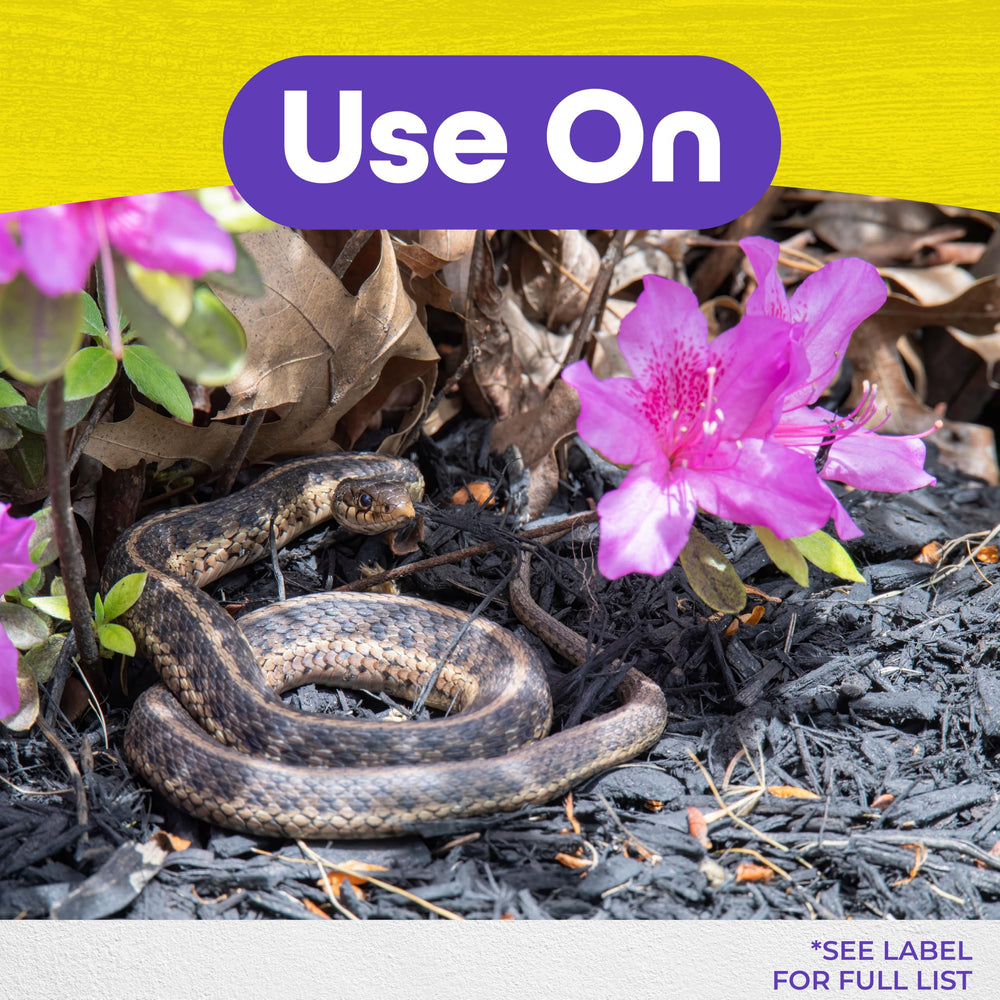 Bonide Snake Stopper Snake Repellent bottle attached to garden hose