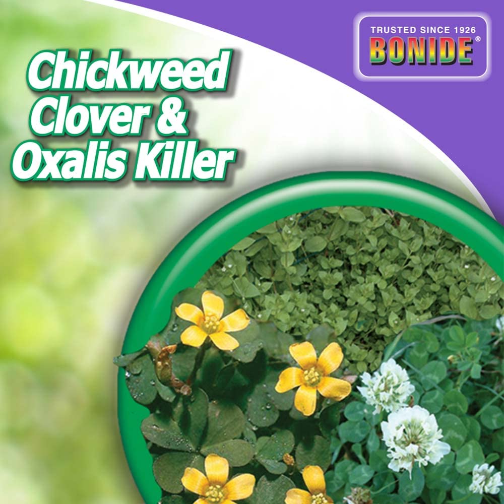 Bonide weed killer application demonstration on grass