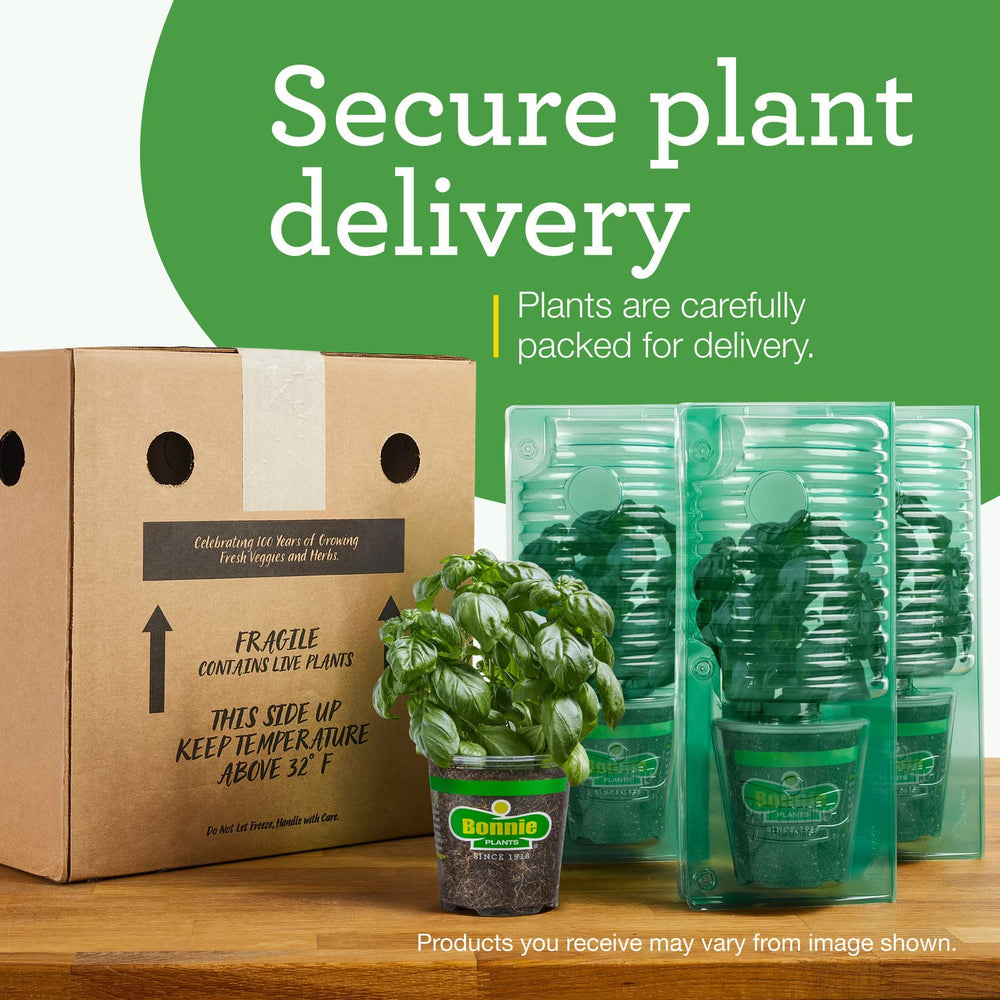 Bonnie Plants packaging for Roma tomatoes