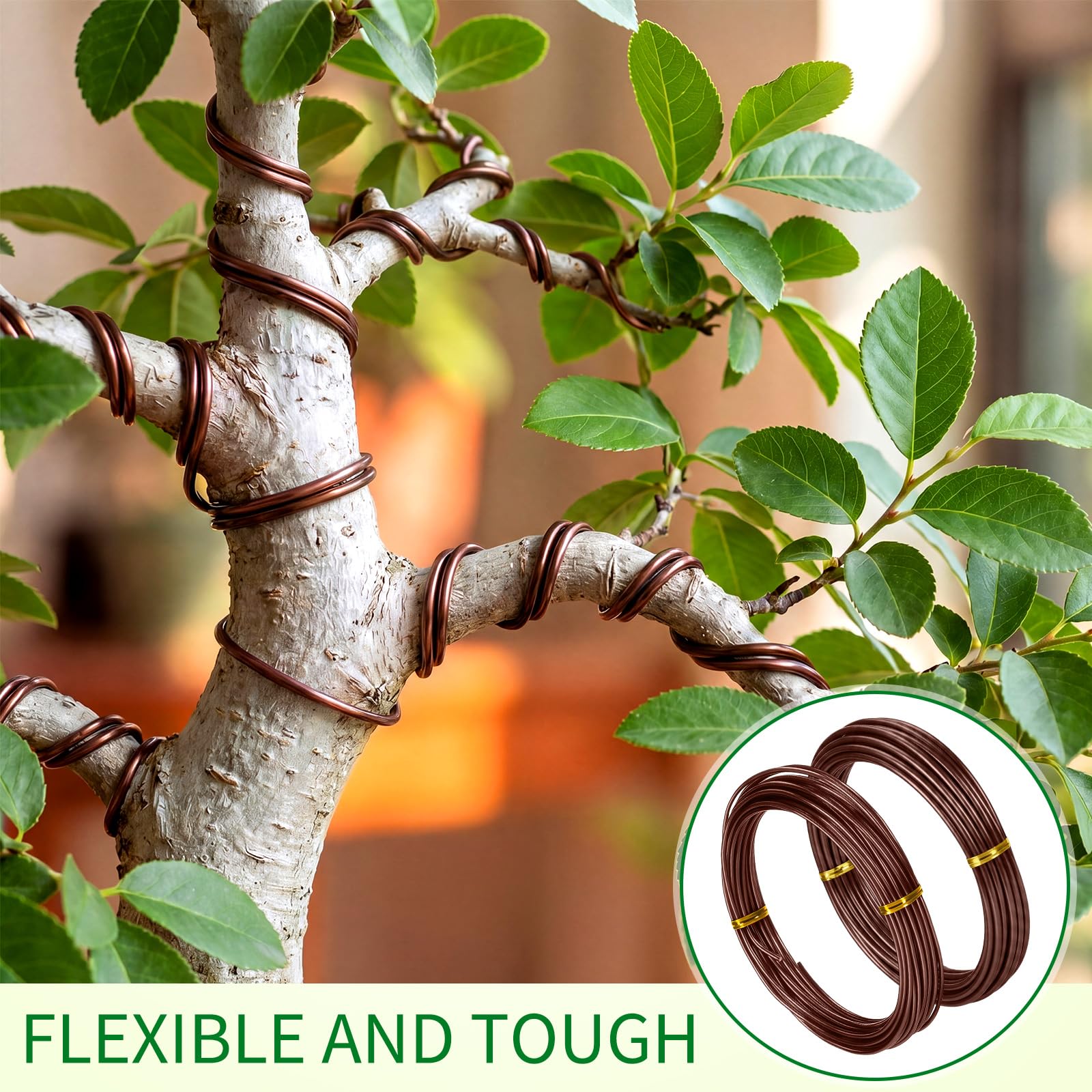 Bonsai branches shaped with Mudder Training Wire