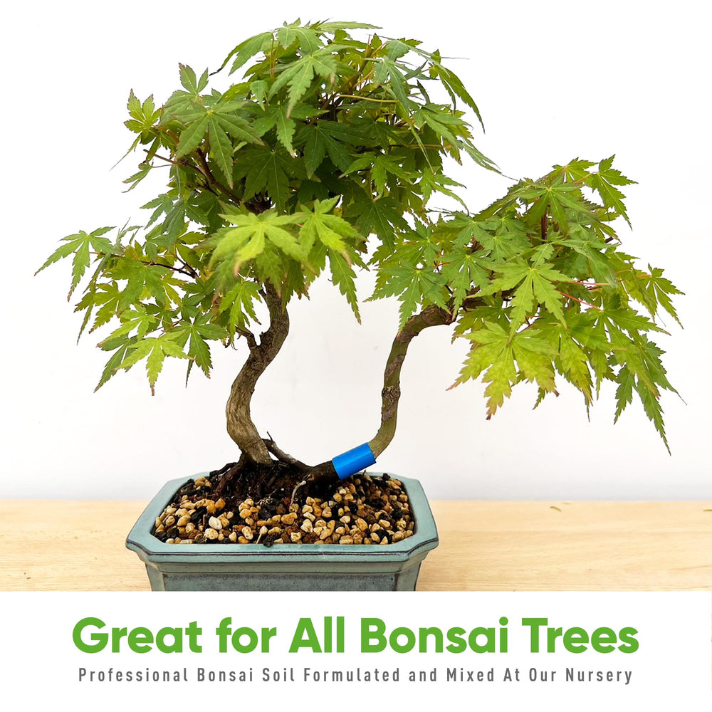 Bonsai Outlet Bonsai Soil Mix with bonsai tree setup