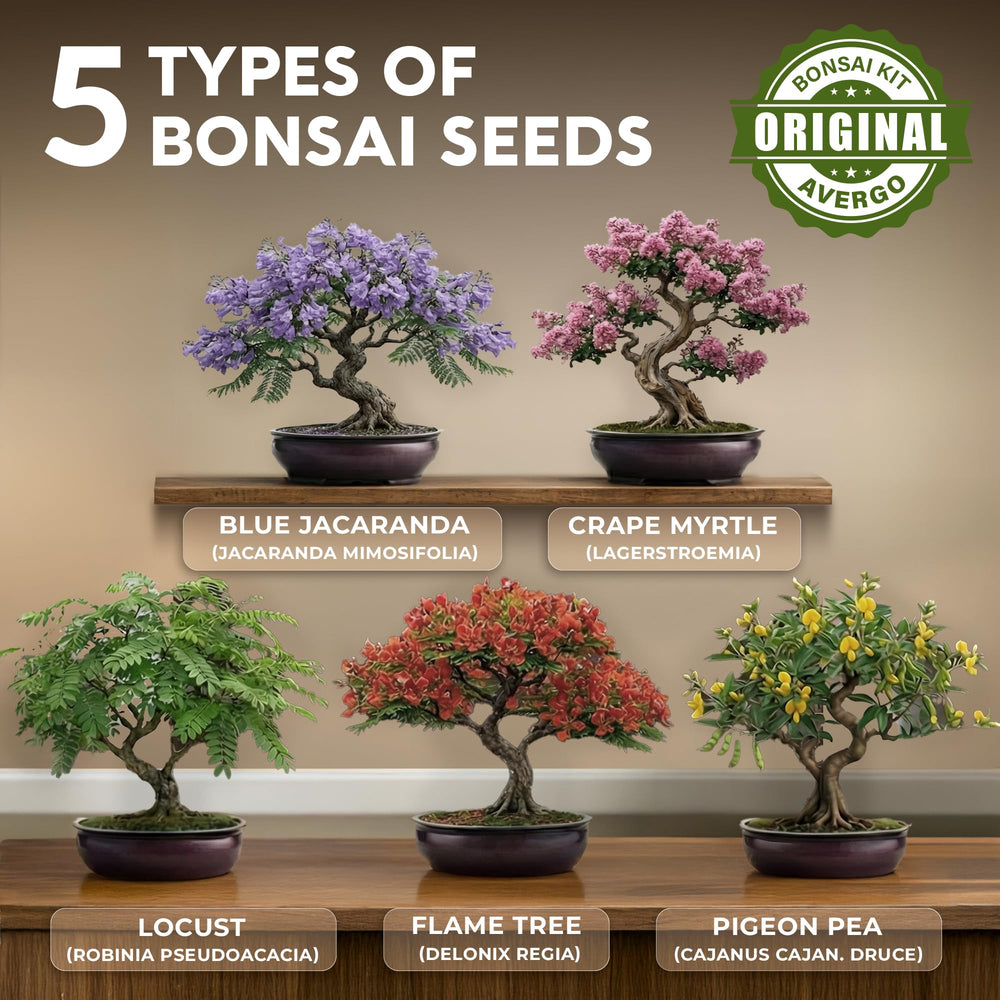 Bonsai tools included in AVERGO Bonsai Tree Kit