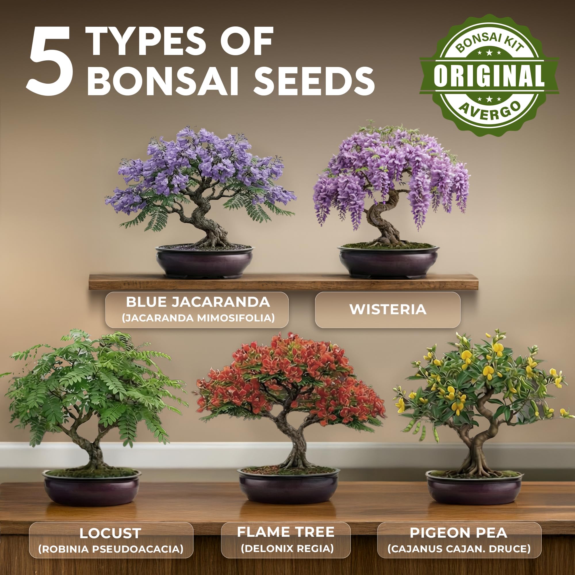 Bonsai tools included in AVERGO Bonsai Tree Kit
