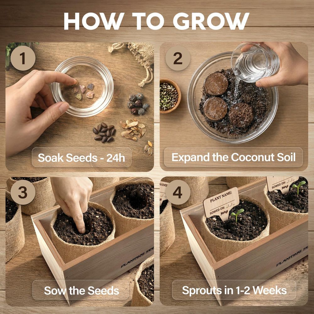 Bonsai tools included in AVERGO Bonsai Tree Kit