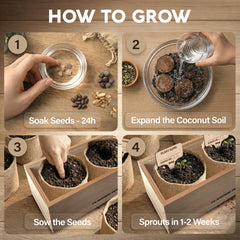 Bonsai tools included in AVERGO Bonsai Tree Kit