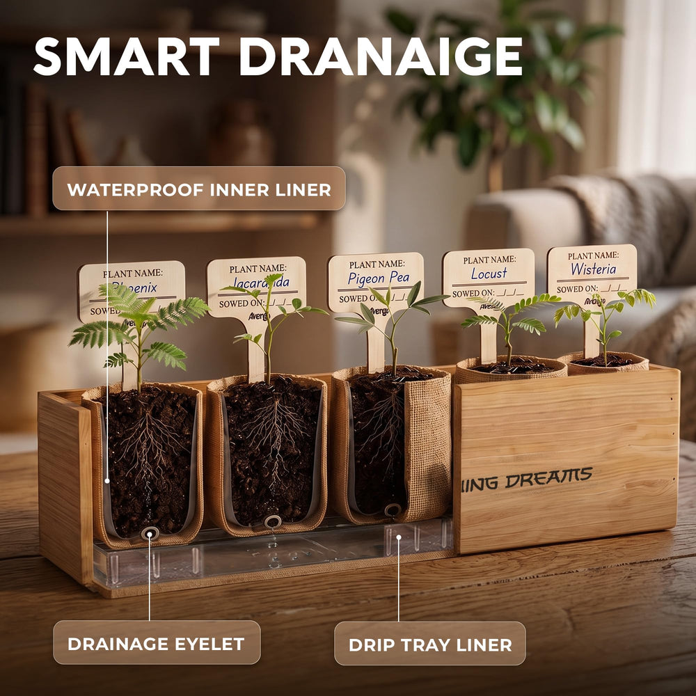 Bonsai tree growing setup with AVERGO tools