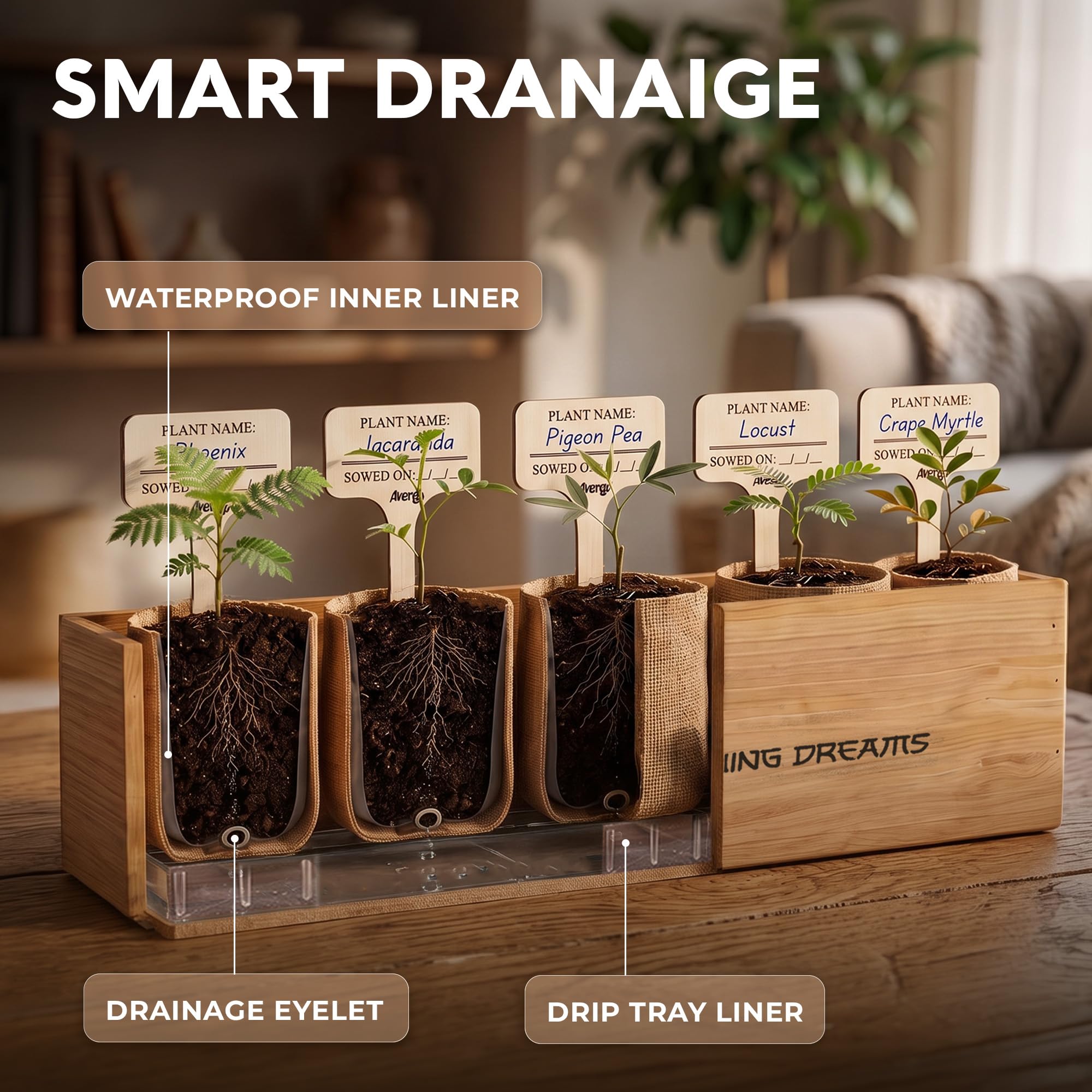 Bonsai Tree Kit Deluxe packaging from AVERGO