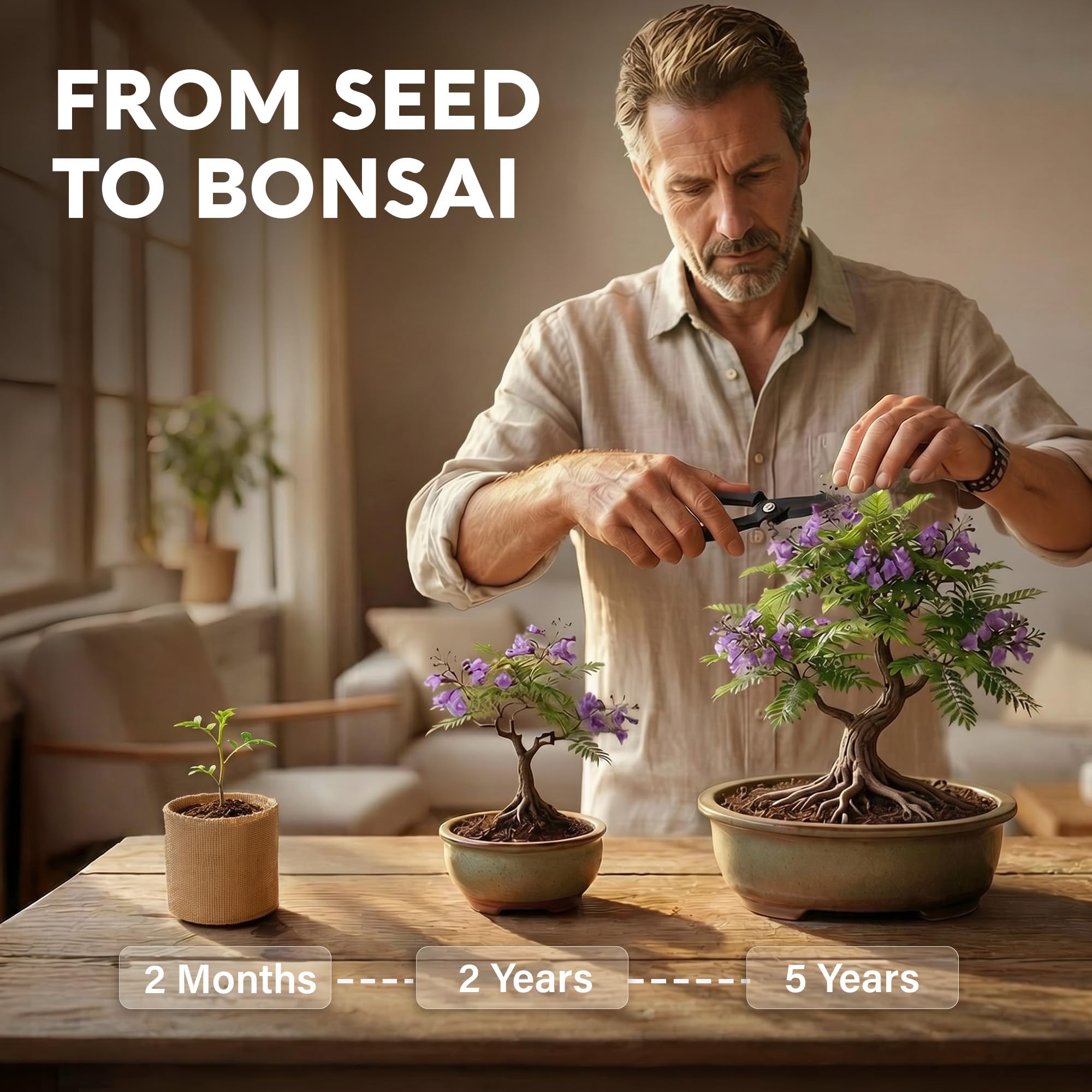 Bonsai trees in pots growing from AVERGO Bonsai Tree Kit