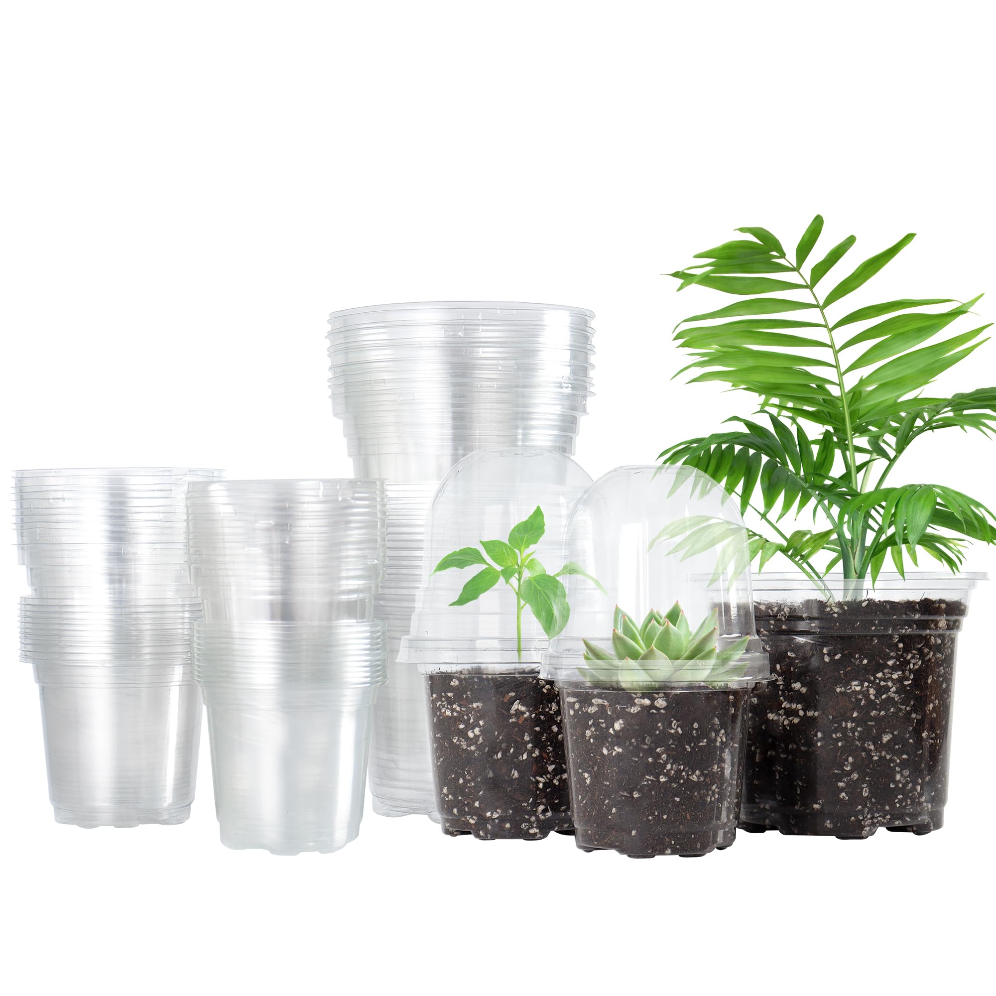 Bonviee 3.5 inch clear nursery pot with humidity dome