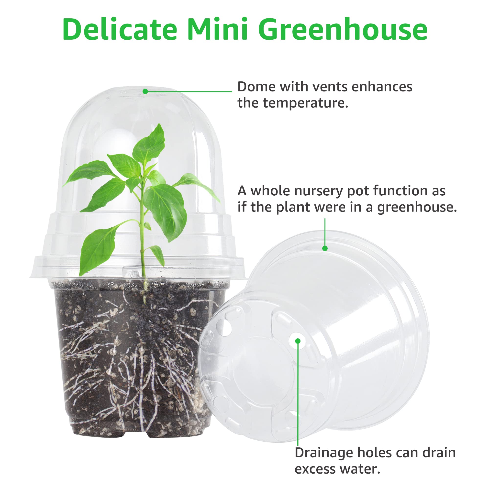 Bonviee 5 inch clear nursery pot with plant labels