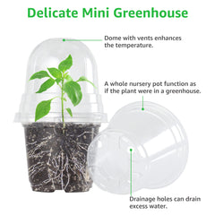 Bonviee 5 inch clear nursery pot with plant labels