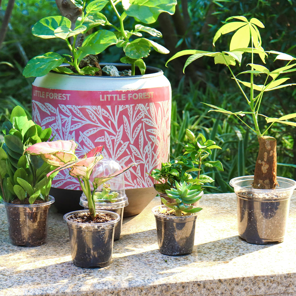 Bonviee nursery pot package showing contents