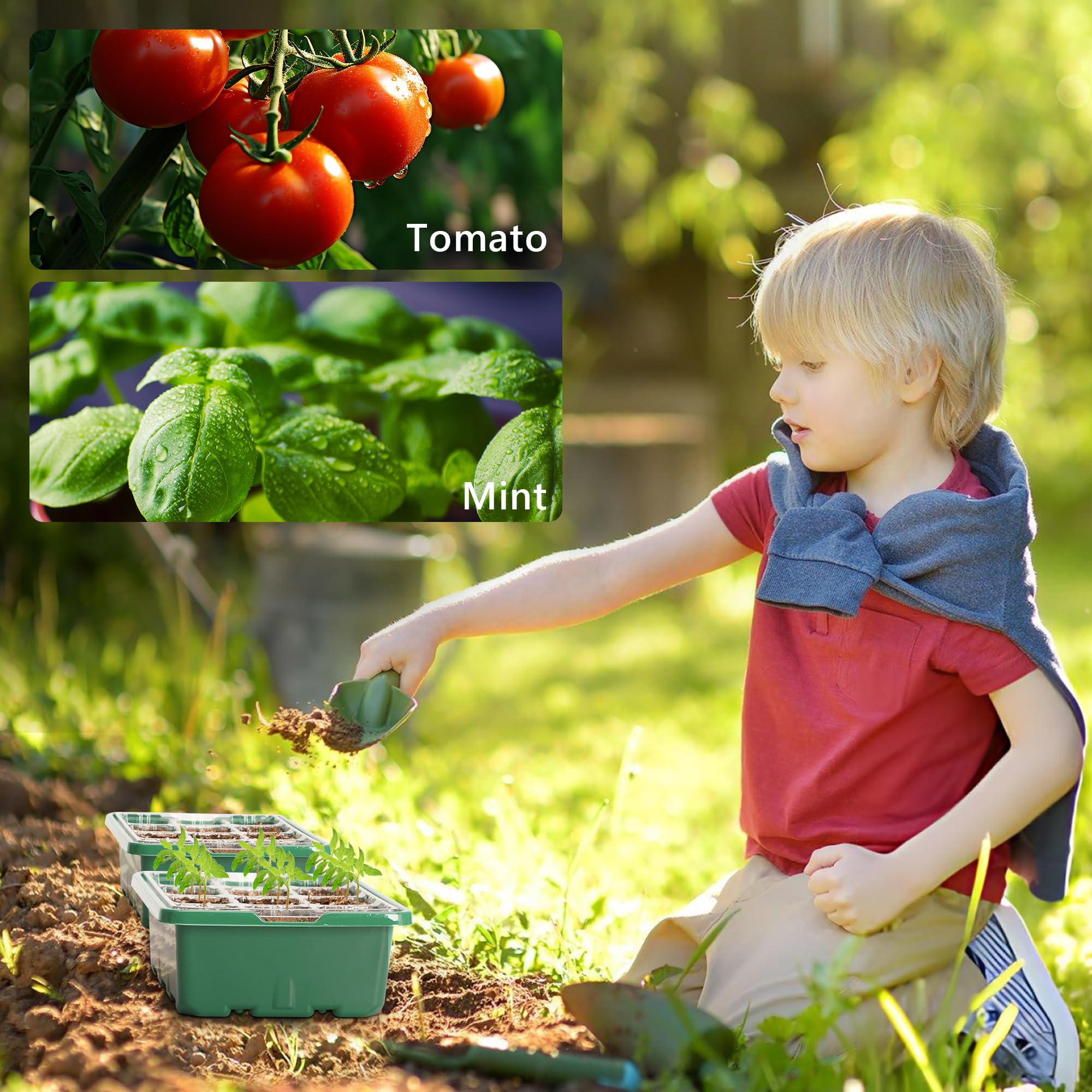 Bonviee seed starter tray package showing contents