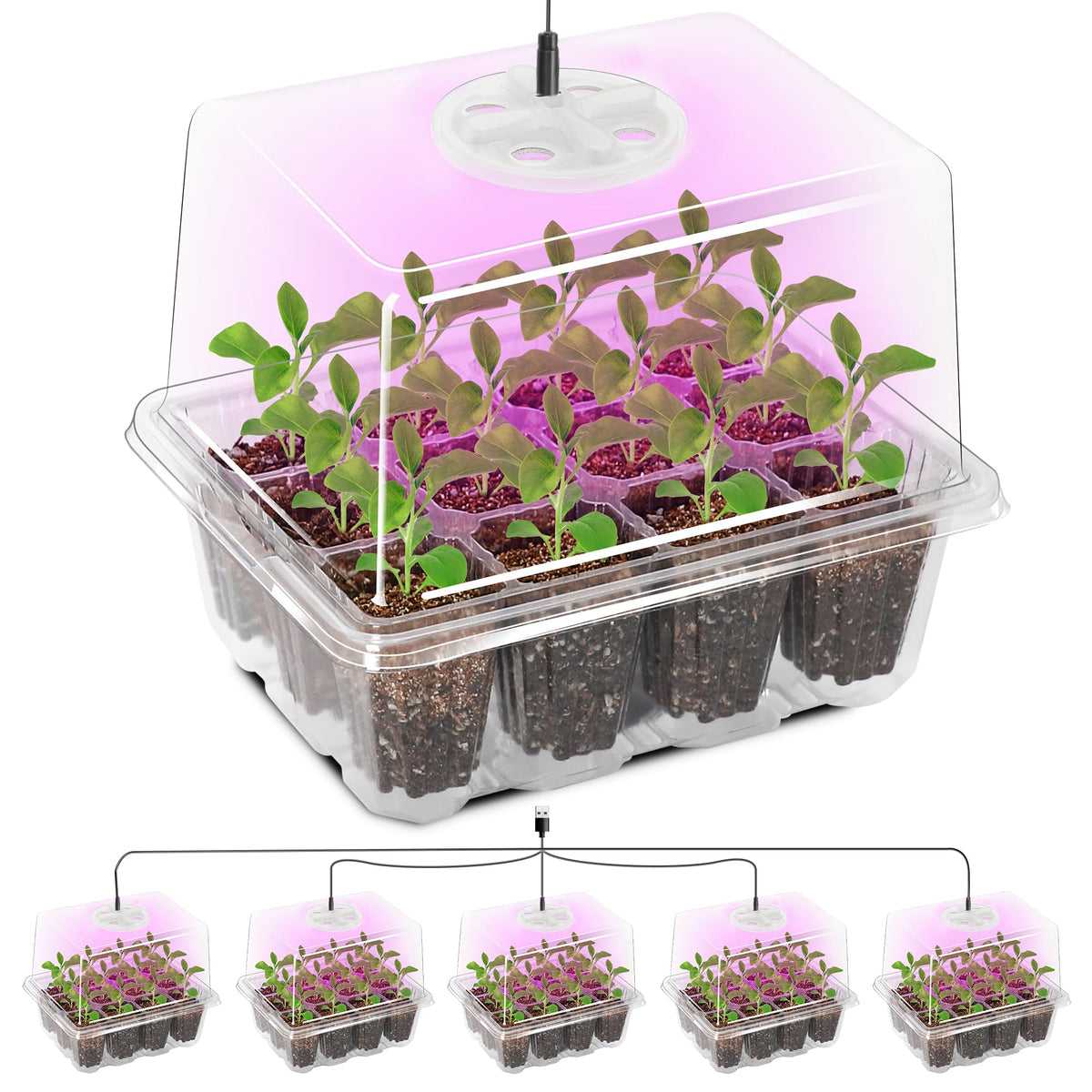Bonviee Seed Starter Trays with 12-LED grow lights, clear view