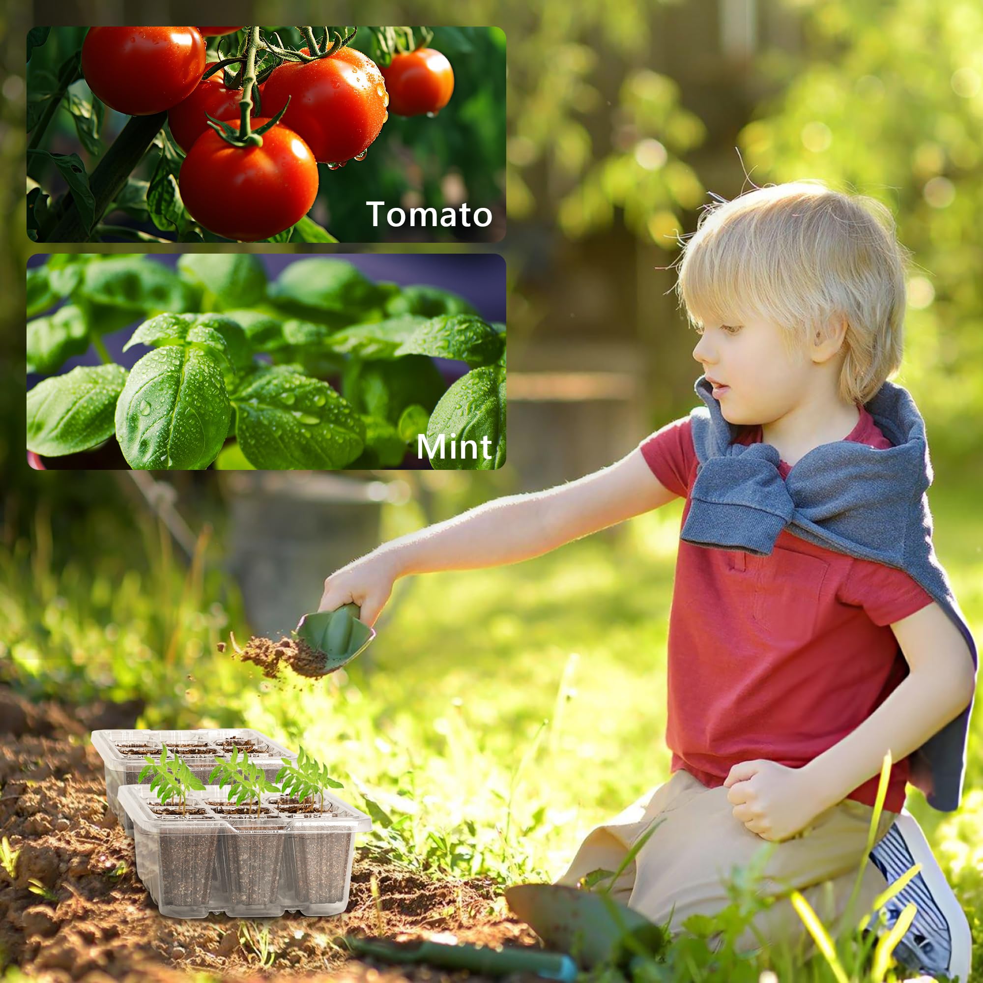 Bonviee seedling trays showcasing clear design
