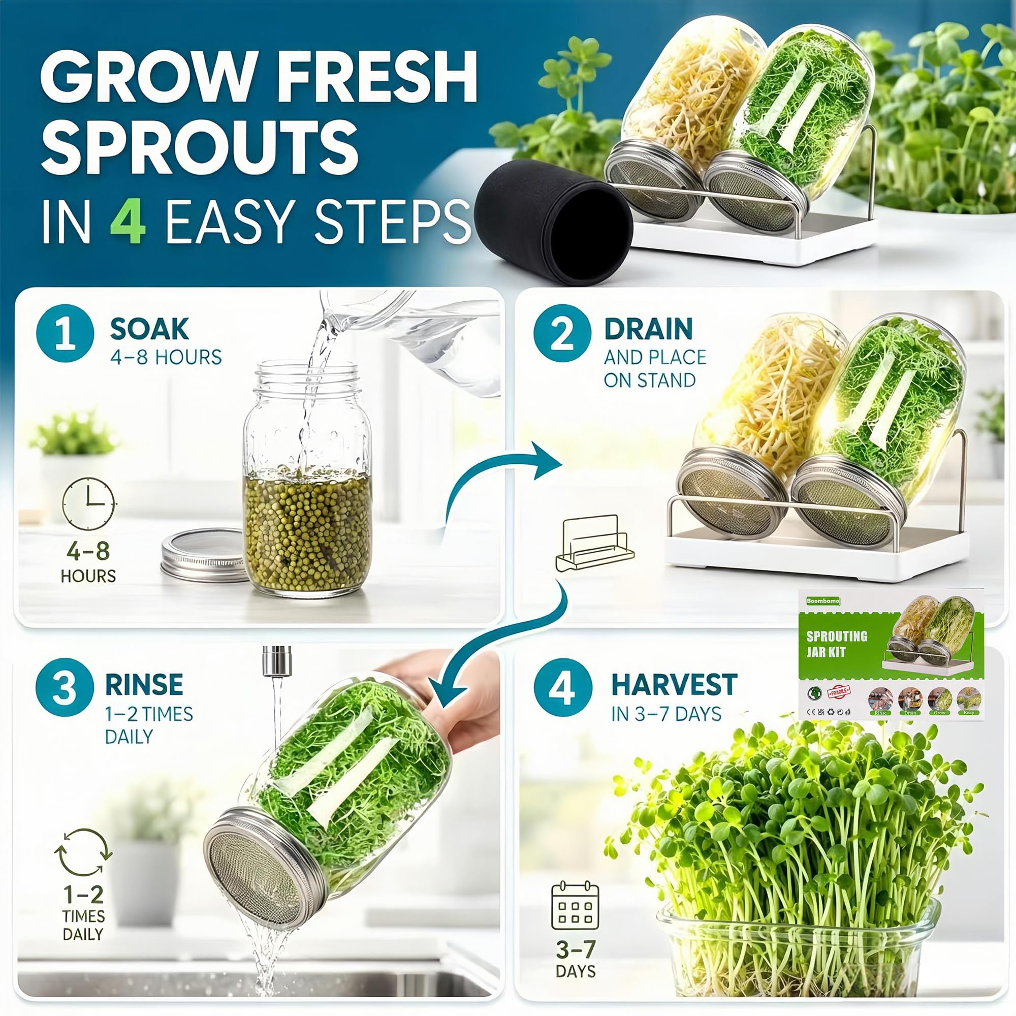 Boombamo sprouting jar tray collecting excess water