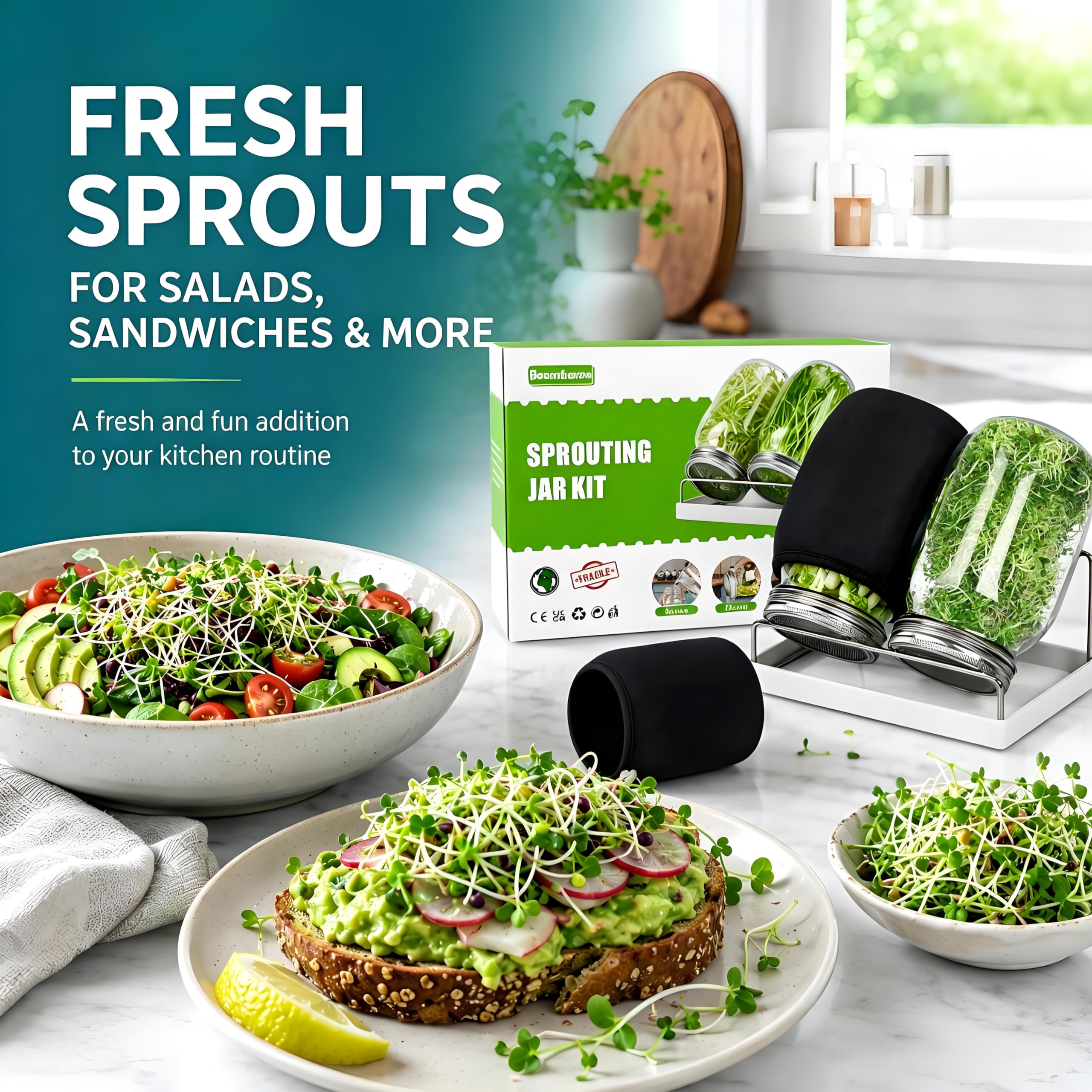 Boombamo sprouting jars on kitchen countertop with fresh sprouts