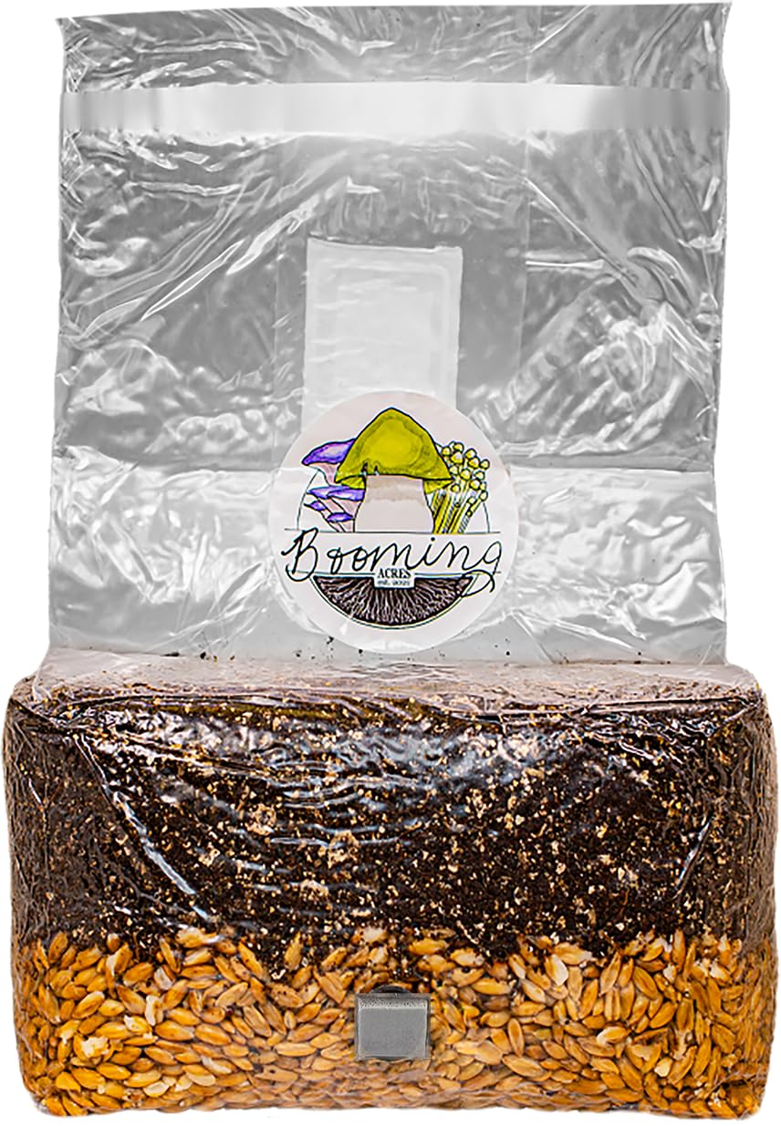 Booming Acres Mushroom Grow Bag with instructions on a table