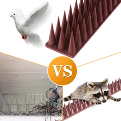 BORHOOD Bird Spikes packaging with product details