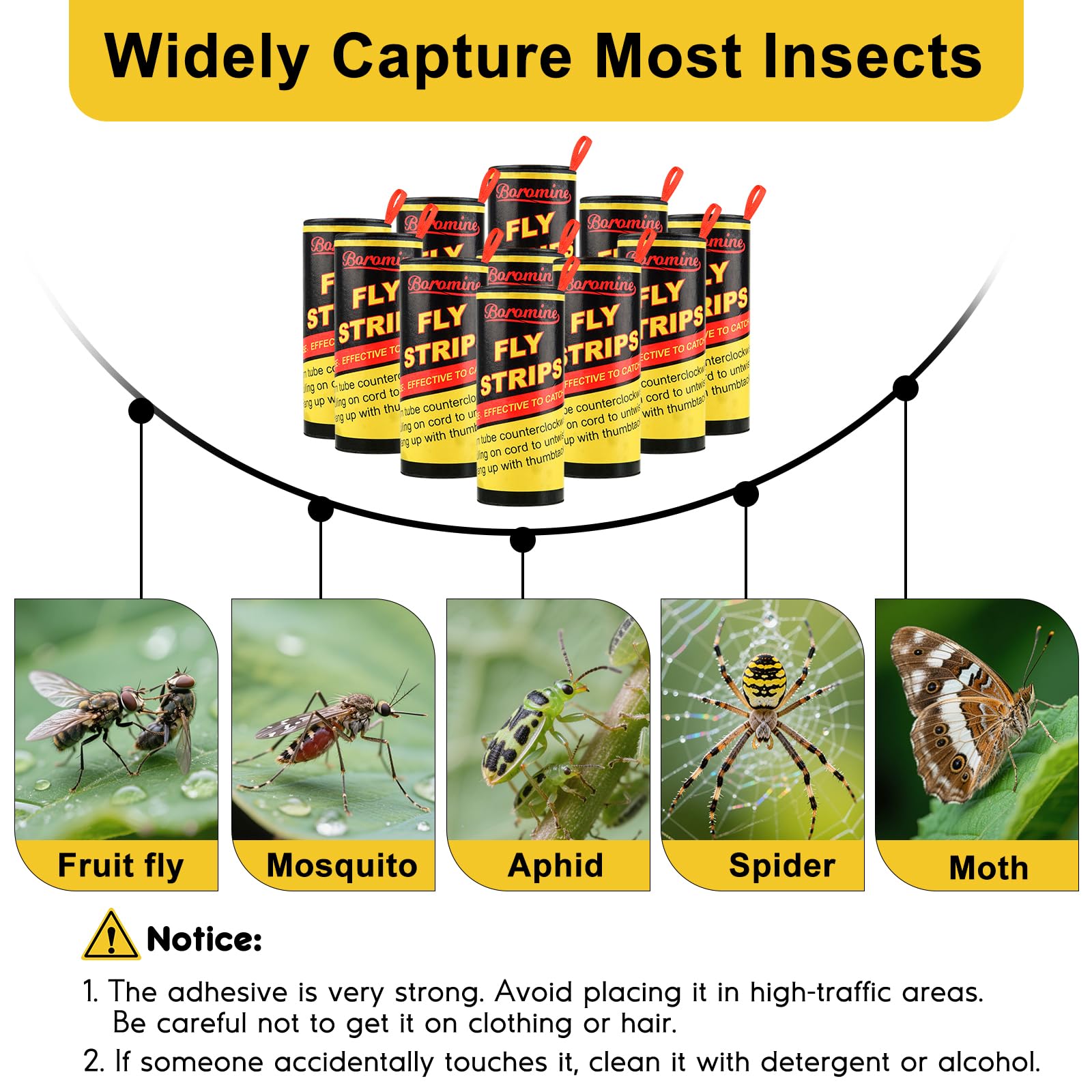 Boromine fly strips hanging outdoors