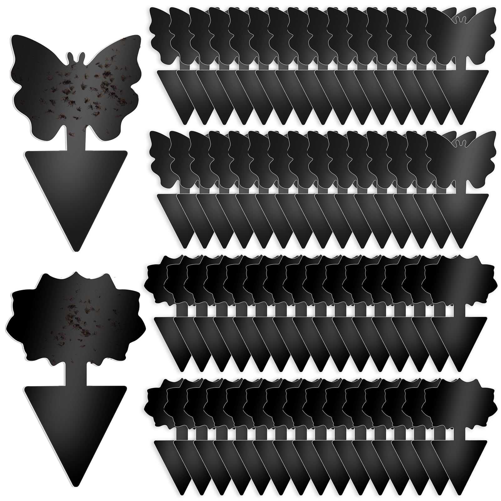 Boromine Fruit Fly Traps 60 Pack black sticky traps front view