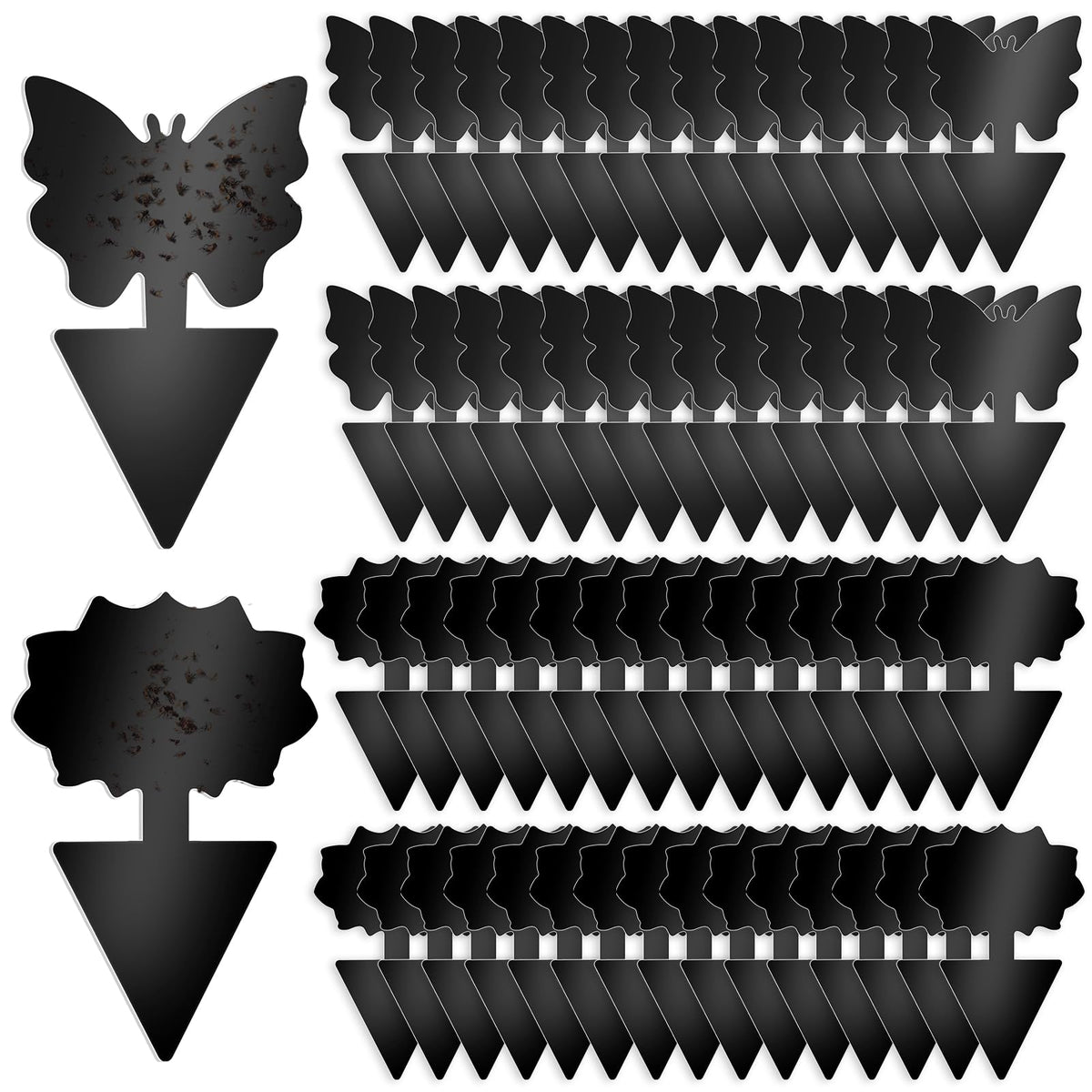 Boromine Fruit Fly Traps 60 Pack black sticky traps front view